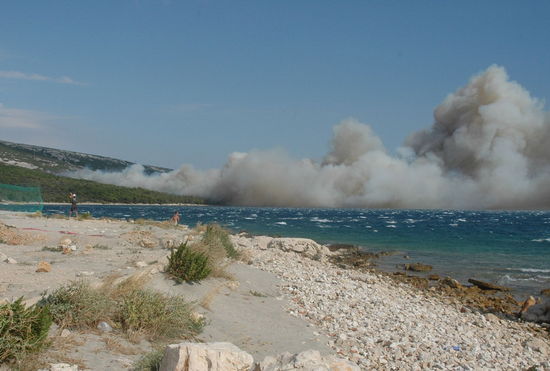 Kliknite da vidite sliku u punoj veli�ini