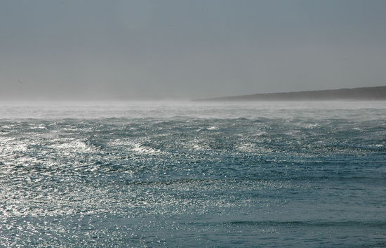 Kliknite da vidite sliku u punoj veli�ini