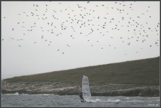 Kliknite da vidite sliku u punoj veli�ini