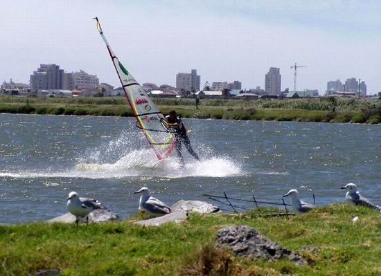 Kliknite da vidite sliku u punoj veli�ini