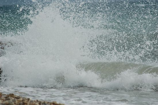 Kliknite da vidite sliku u punoj veli�ini