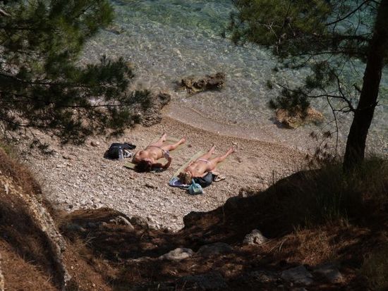 Kliknite da vidite sliku u punoj veli�ini