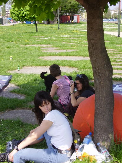 Kliknite da vidite sliku u punoj veli�ini