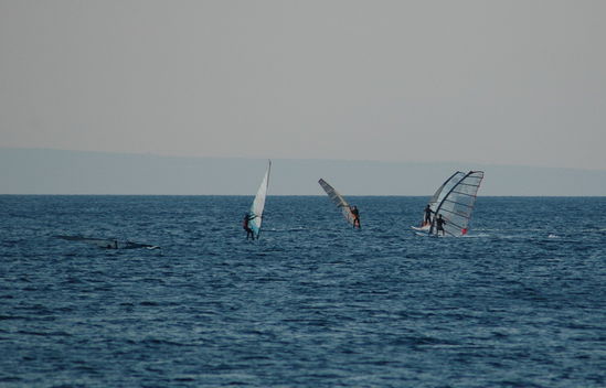 Kliknite da vidite sliku u punoj veli�ini