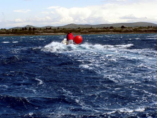 Kliknite da vidite sliku u punoj veli�ini