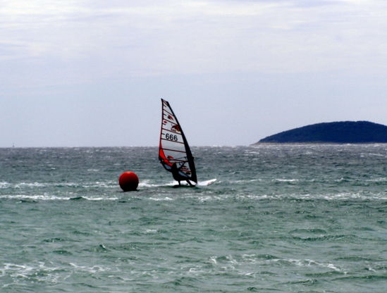 Kliknite da vidite sliku u punoj veli�ini