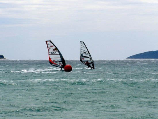 Kliknite da vidite sliku u punoj veli�ini