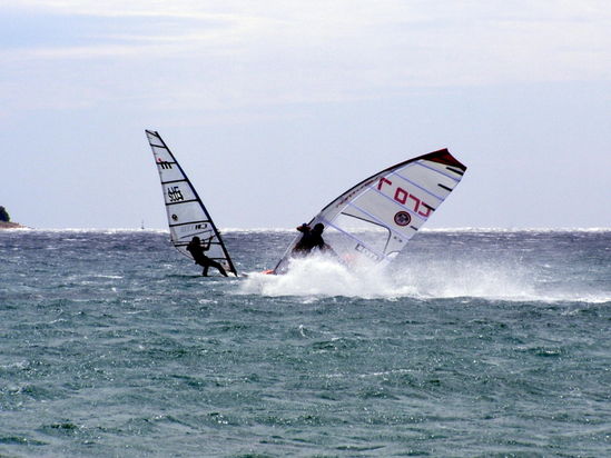 Kliknite da vidite sliku u punoj veli�ini