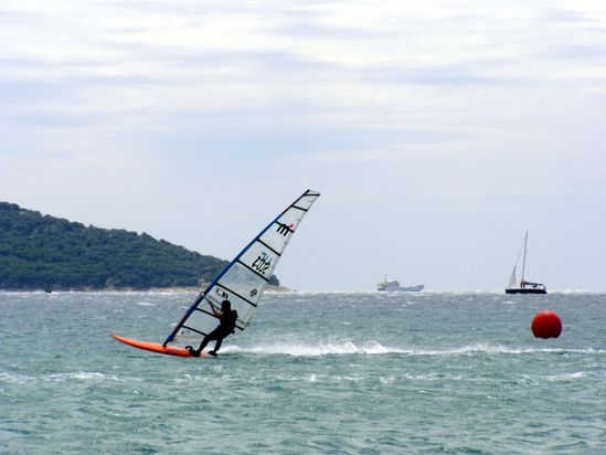 Kliknite da vidite sliku u punoj veli�ini