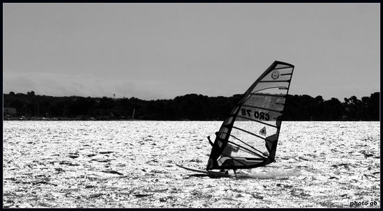 Kliknite da vidite sliku u punoj veli�ini