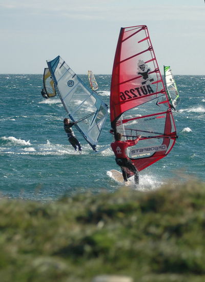 Kliknite da vidite sliku u punoj veli�ini