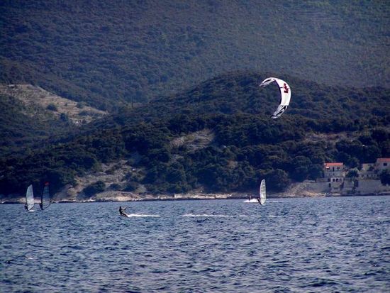 Kliknite da vidite sliku u punoj veli�ini