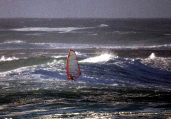 Kliknite da vidite sliku u punoj veli�ini