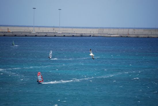 Kliknite da vidite sliku u punoj veli�ini