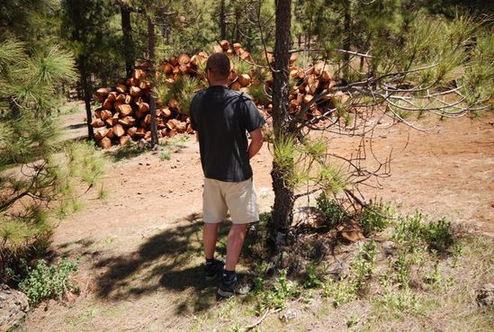 Kliknite da vidite sliku u punoj veli�ini