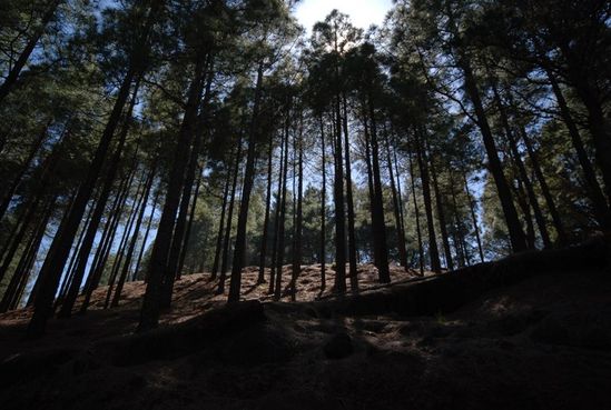 Kliknite da vidite sliku u punoj veli�ini