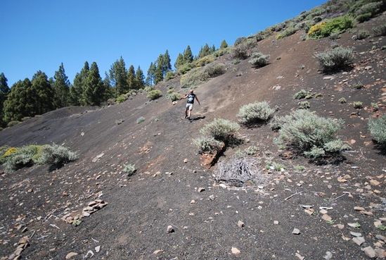 Kliknite da vidite sliku u punoj veli�ini