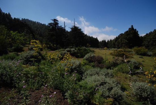 Kliknite da vidite sliku u punoj veli�ini