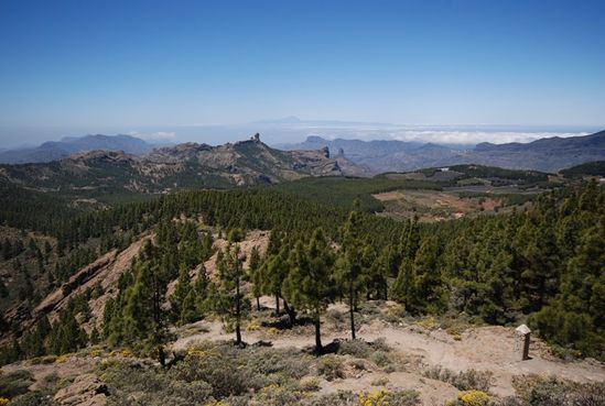 Kliknite da vidite sliku u punoj veli�ini