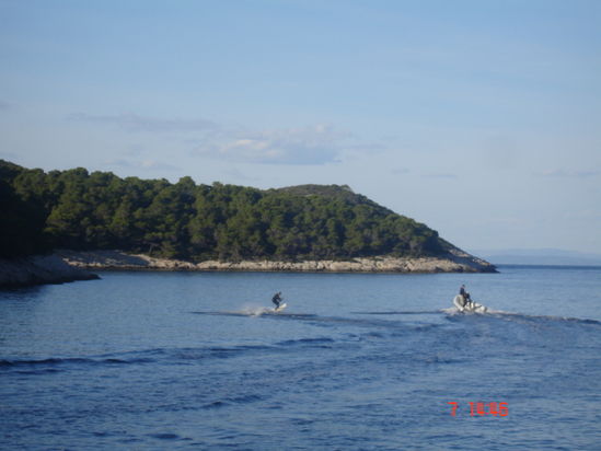 Kliknite da vidite sliku u punoj veli�ini