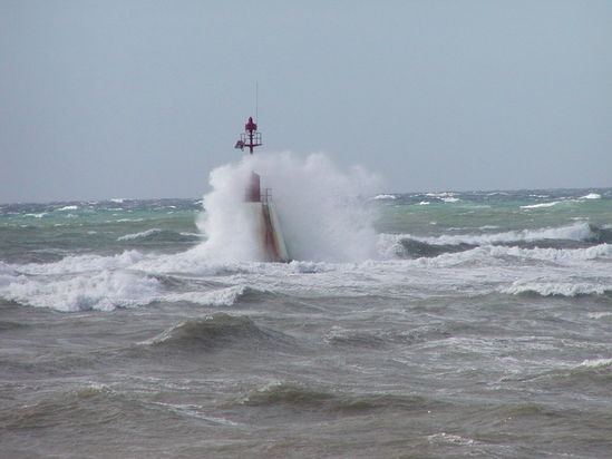 Kliknite da vidite sliku u punoj veli�ini