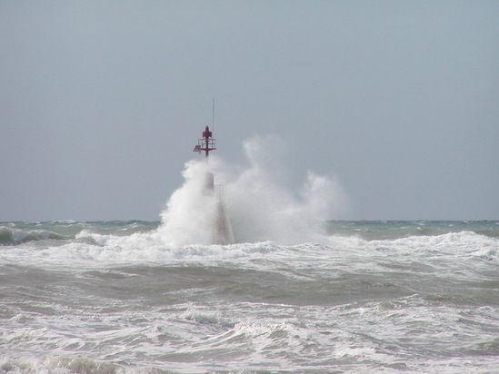 Kliknite da vidite sliku u punoj veli�ini