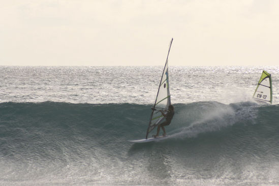 Kliknite da vidite sliku u punoj veli�ini