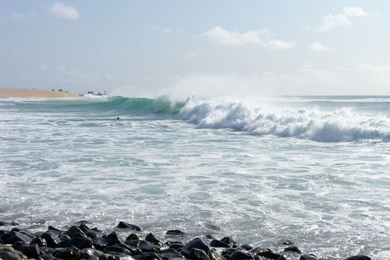 Kliknite da vidite sliku u punoj veli�ini