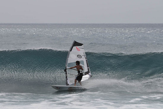 Kliknite da vidite sliku u punoj veli�ini