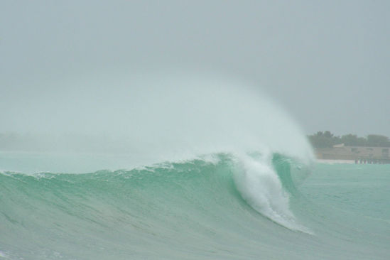 Kliknite da vidite sliku u punoj veli�ini