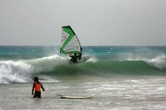 Kliknite da vidite sliku u punoj veli�ini