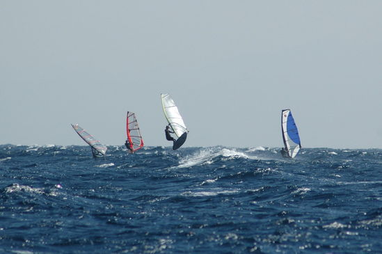 Kliknite da vidite sliku u punoj veli�ini