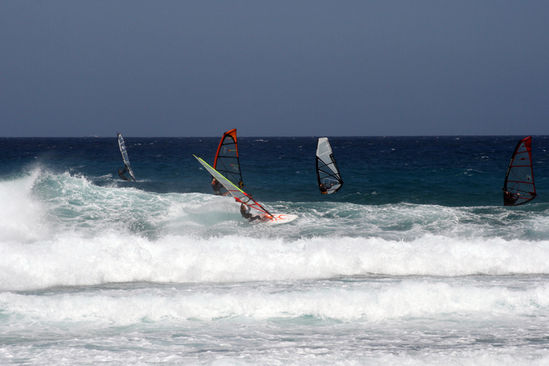 Kliknite da vidite sliku u punoj veli�ini