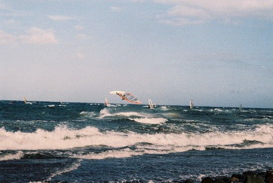 Kliknite da vidite sliku u punoj veli�ini