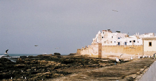 Kliknite da vidite sliku u punoj veli�ini