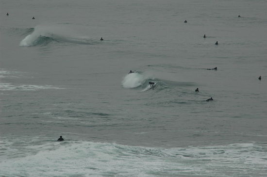 Kliknite da vidite sliku u punoj veli�ini