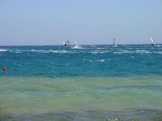 Kliknite da vidite sliku u punoj veli�ini