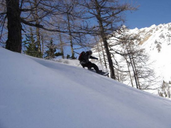 Kliknite da vidite sliku u punoj veli�ini