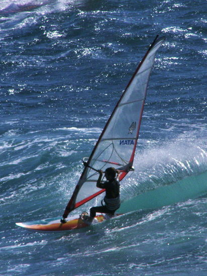 Kliknite da vidite sliku u punoj veli�ini