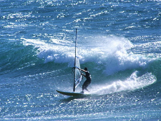 Kliknite da vidite sliku u punoj veli�ini