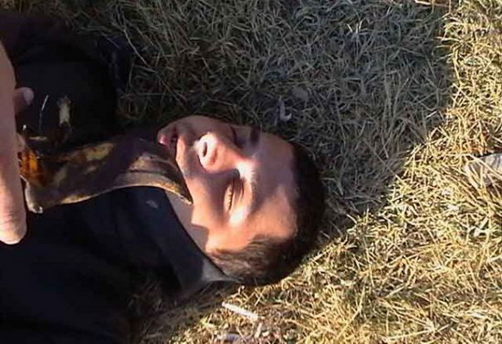 Kliknite da vidite sliku u punoj veli�ini