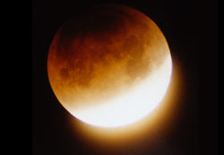 Pomrcina mjeseca, 21.1.2000