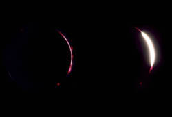 Pomrcina Sunca - dijamantni prsten