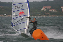 Vladan Desnica