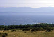 07-guzva_bol.jpg