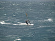 15-riding1.jpg