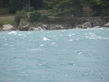 DSC00290.jpg