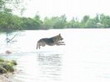 DSCF1863.jpg