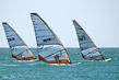 Regata_(4).JPG