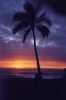 hawaii.sized.jpg